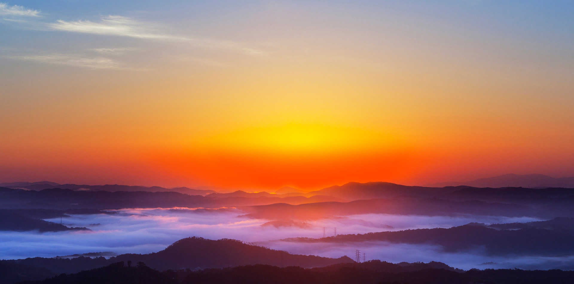 999策略白菜网站集团 生机无限